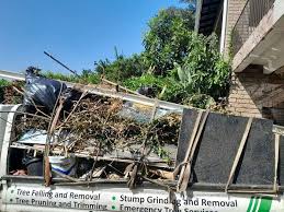 Best Hoarding Cleanup  in Glen Dale, WV