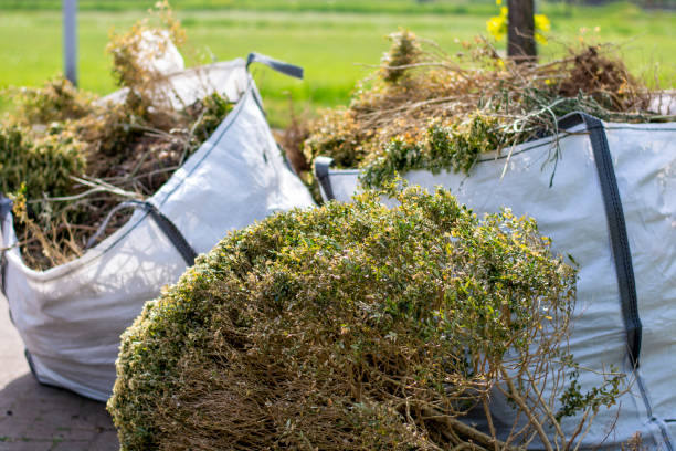 Best Residential Junk Removal  in Glen Dale, WV