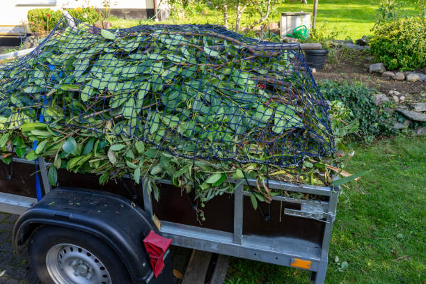 Best Carpet Removal and Disposal  in Glen Dale, WV